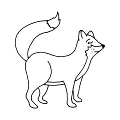 Sleeping fox design element. Сoncept nature, wildlife. Hand drawn vector illustration in doodle style outline drawing isolated on white background.