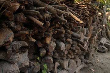 pile of firewood