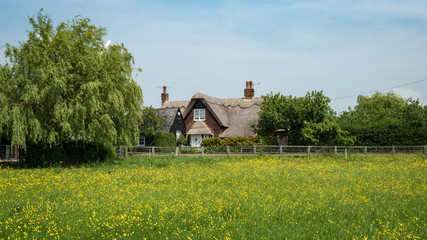 A traditional English thatched roof cottage nestling amongst trees with a meadow filled with wild...