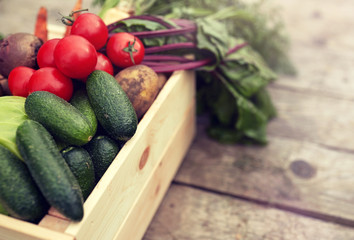 harvest, food and agriculture concept - close up of vegetables on farm