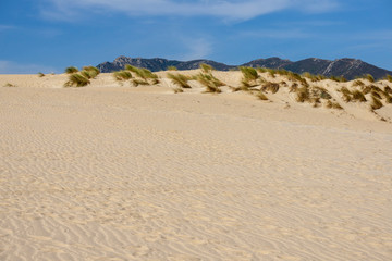 Tarifa beach on a beautiful sunny day. Spain.