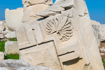 Ancient Roman Dragonfly Relief