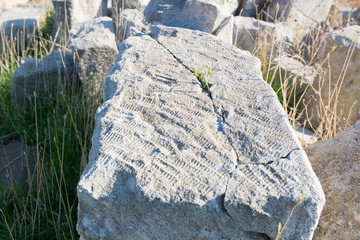 Ancient Roman Building Block with Chisel Marks