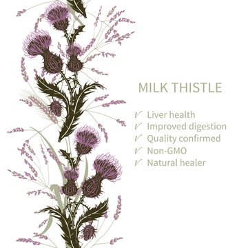 Silhouette of milk Thistle flower on background meadow plants and cereals. Floral composition with wild flowers.