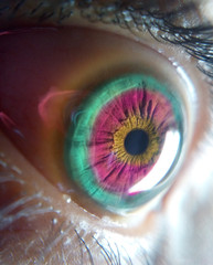 iris eye eyeball human blue macro vision look