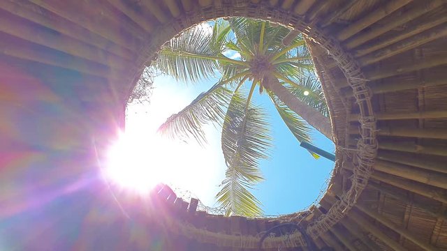 Tropical concept video. Sunflares in the roof's window. Palm view throught roof's window in beach bungalow.