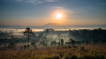 Naklejka na ściany i meble Sunrise in Thung Salaeng Luang national park, Phetchabun, Thailand.