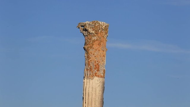 Ruins of the Byzant Kastrum on Brijuni NP