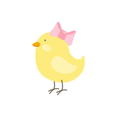 Vector illustration of cute Easter baby chiken with pink bow isolated on white background.  Cute cartoon character for spring or children design