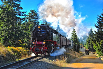 Fototapeta na wymiar Steam locomotive on the way to the Blocksberg (Brocken)
