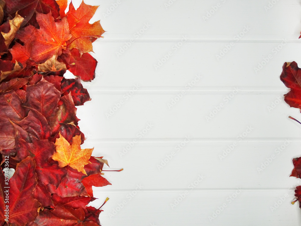 Canvas Prints autumn forest with maple trees on wooden background
