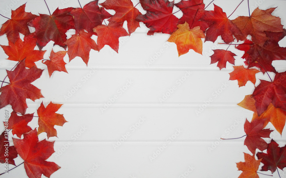Canvas Prints autumn forest with maple trees on wooden background