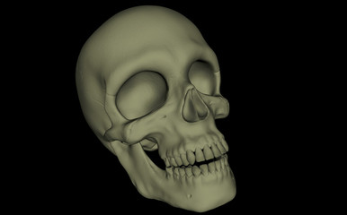 Obraz premium Skeleton skull on a black background. Anatomy. Part of the body. Head. Medical examination. Human. 3d rendering.