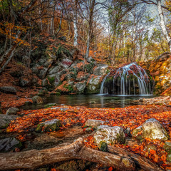 Obraz na płótnie Canvas Waterfall in the forest in autumn among the fallen colorful bright leaves.