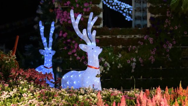 Deer glowing light in festival, decor in Christmas and New year.