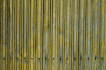 Old wooden door. The structure of the old tree. Wooden boards and wall. Kraska is climbing from the old door. Lock and handle on an old door.