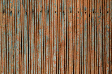 Old wooden door. The structure of the old tree. Wooden boards and wall. Kraska is climbing from the old door. Lock and handle on an old door.