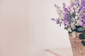 white and artificial flower in the brown pot on the white backgorund, instant effect