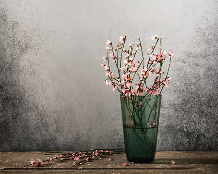 Still life with pink genista cytisus flowers in green glass vase on rustic stone background. Selective focus.