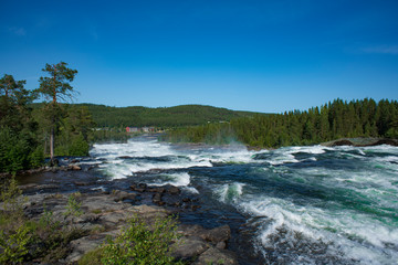 Storforsen river Sweden. Nature reserve on sunny summer day in Swedish lapland with Big river, rapids and waterfall.