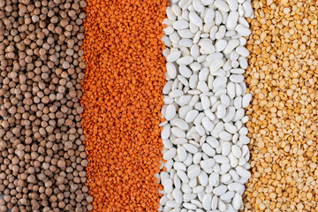 lines of various legumes red lentils, black lentils, yellow lentils, red beans, green mung beans background