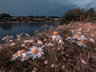 Elbbrücke in Pirna mit blauer Himmel