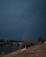Regenbogen über der Stadt Pirna