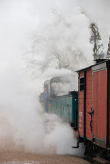 France. Hauts-de-France. Le conducteur d'une vieille locomotive à vapeur. The driver in an old steam locomotive. 