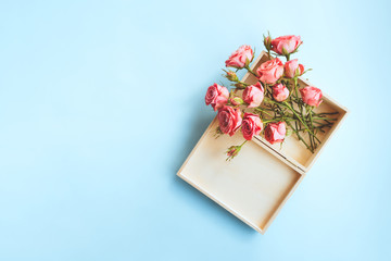 Top view of a fresh pink roses in a wooden box on blue background with copy space. Valentines day banner