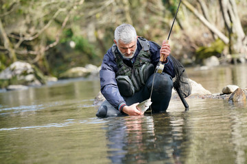 catch of a rainbow trout by a fly fisherman in the river