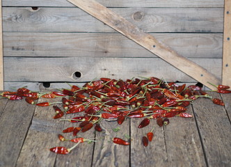 Red hot chilli peppers dried on a wooden background. We grow and dry ourselves. Organic products.