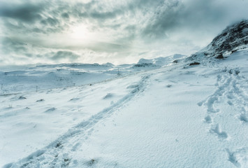 Snowy Scene in Iceland