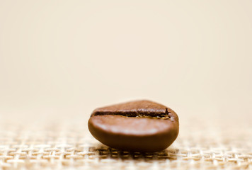 one grain of coffee on a matting macro