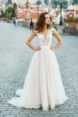 Fototapeta na wymiar Young bride in a beautiful dress walks on the bridge