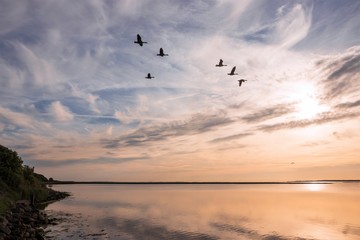 scenic coastline with flying geese