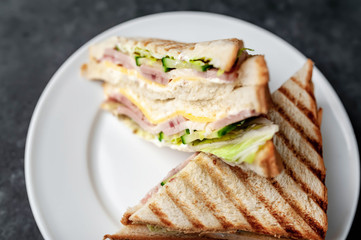 tasty sandwiches on a white plate on a stone background