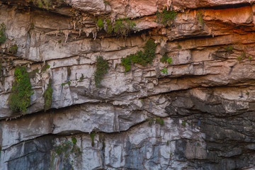 Basement of Las Golondrinas (Hirundo rustica) is a natural abyss located in the town of Aquismón belonging to the Mexican state of San Luis Potosí