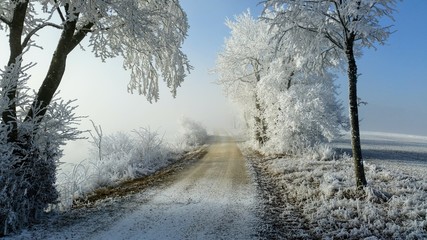 Frost