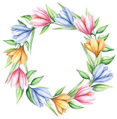 Watercolor flower wreath. Single wreath with flowers of blue, yellow and pink crocuses.