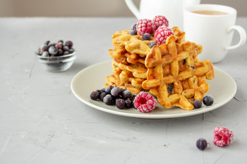 Carrot Waffles with Dried Fruits and Berries