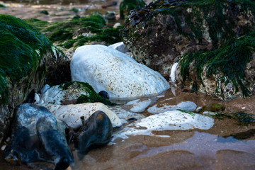Chalk rocks exposed at low tide in Botany Bay near Broadstairs in Kent