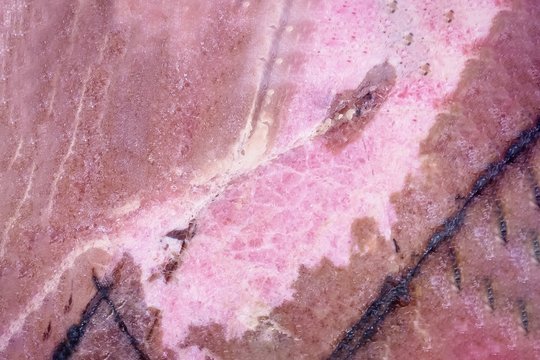 Macro shooting of natural mineral stone. Natural pink brown rhodonite with black veins