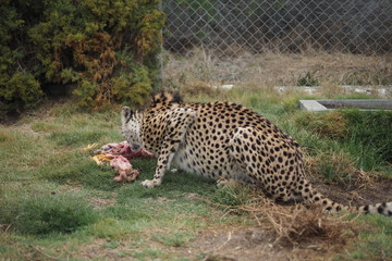 Obraz premium OLYMPUS DIGITAL CAMERA