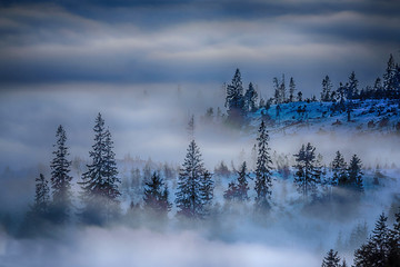 nature landcape fog blue trees Slovakia