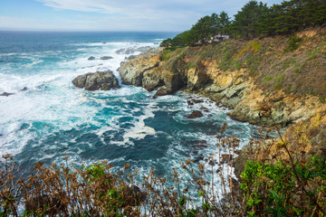 Pacific Ocean Overlook