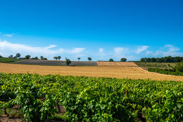 panorama pól uprawnych, Francja