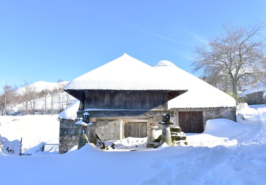 Famous Piornedo mountain village after a snowfall with ancient Palloza stone houses with thatched roof and traditional wooden granary. Ancares, Lugo, Galicia, Spain.