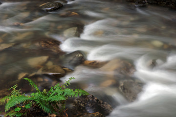 long exposure of water flowing over stones