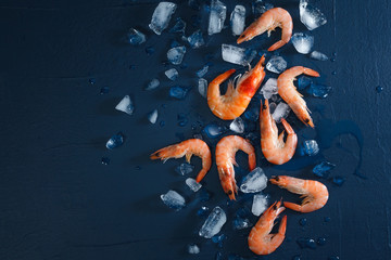 top view of fresh prawns placed on dark blue background with pieces of ice