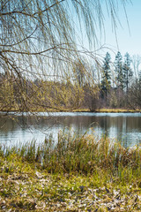 Autumn spring afternoon forest and lake landscape, seasonal autumn spring nature background, ecology
